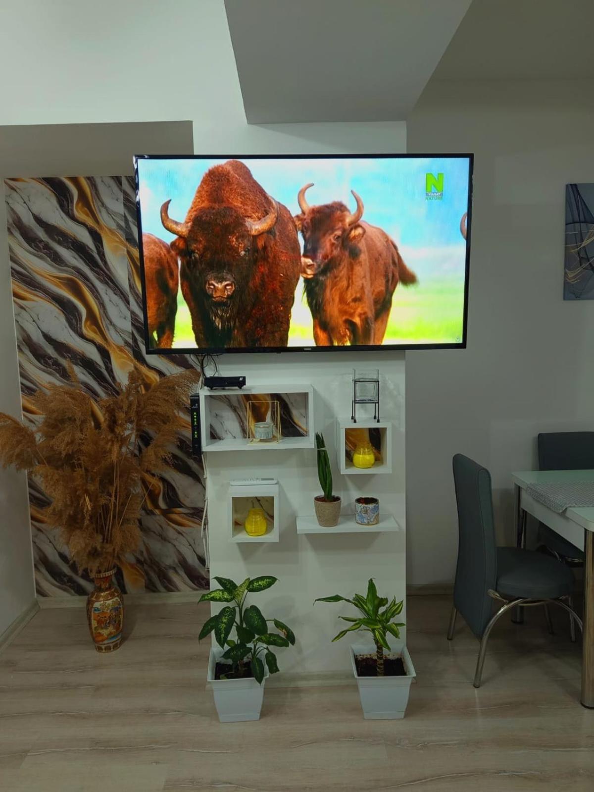 Maksim Apartments 스코페 외부 사진